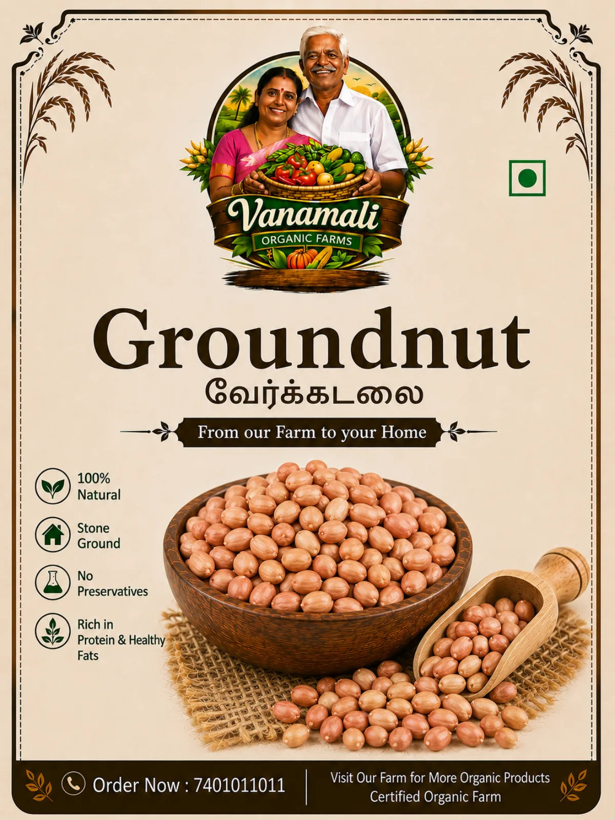 Groundnuts / வேர்க்கடலை
