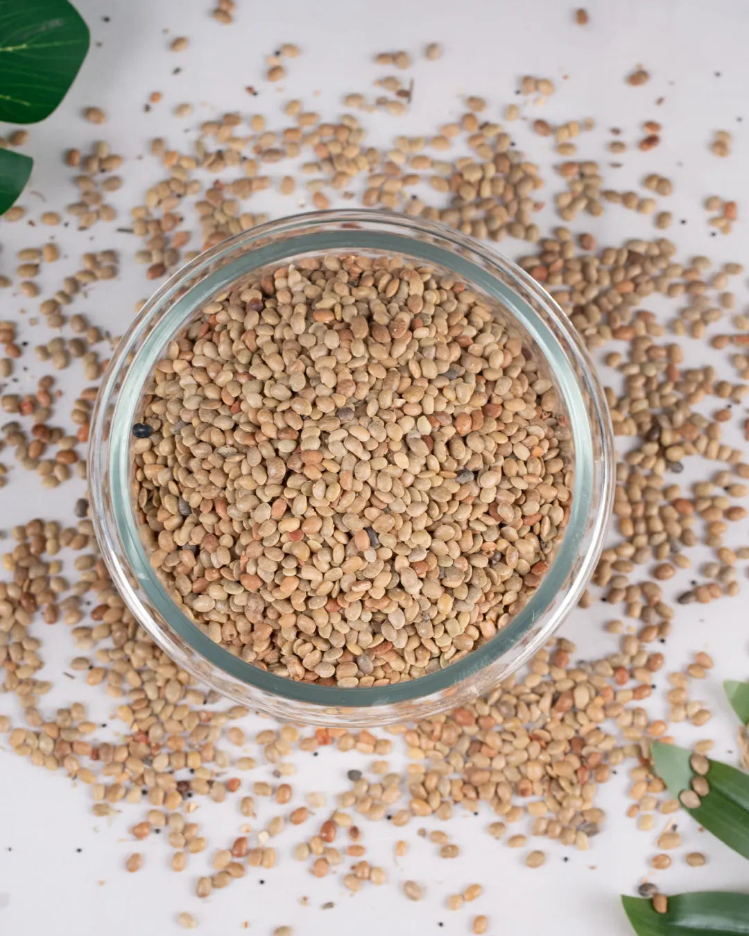 Horse Gram / கொள்ளு